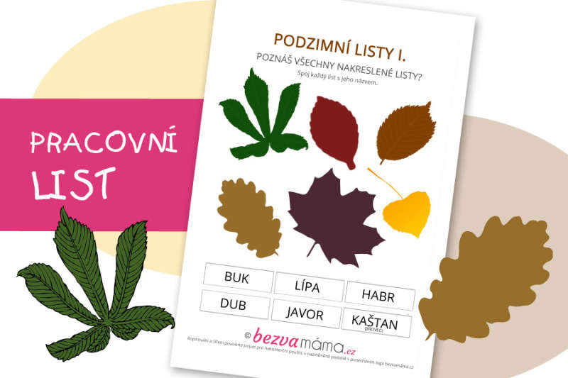 Pracovní list – podzimní listy I.