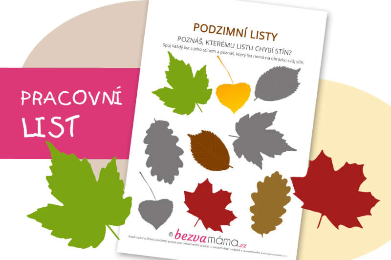 Pracovní list – podzimní listy II.