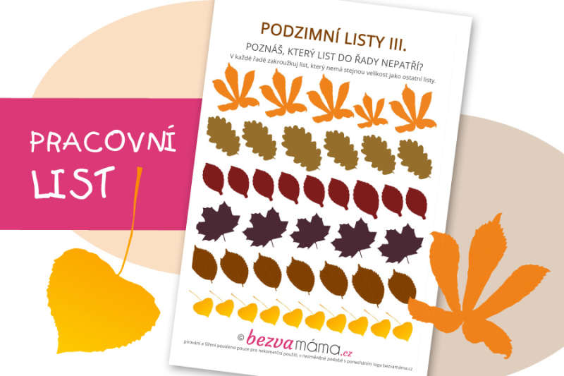 Pracovní list – podzimní listy III.