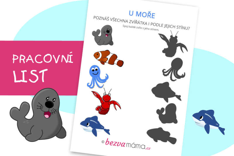 Pracovní list – moře