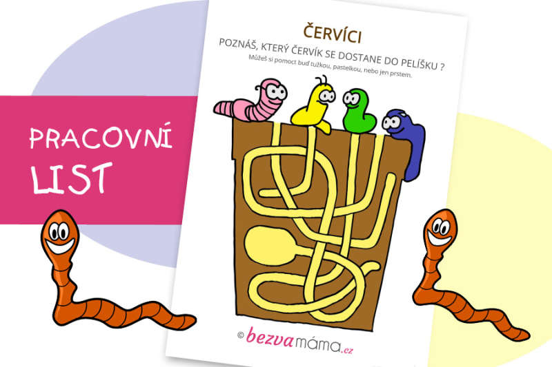Pracovní list – červíci